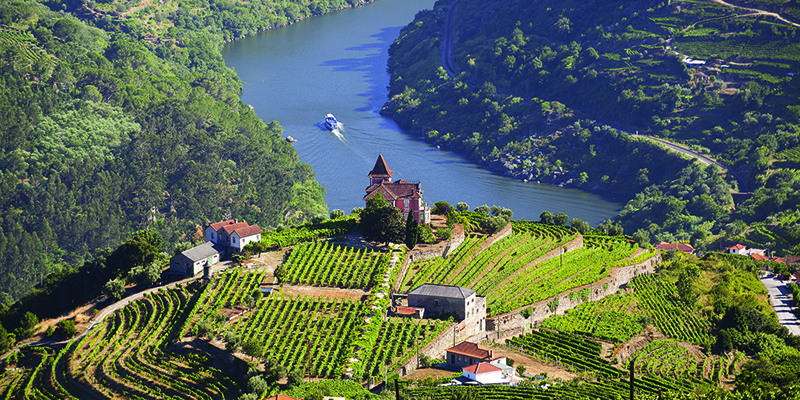 A view of the Douro Valley in Portugal. 